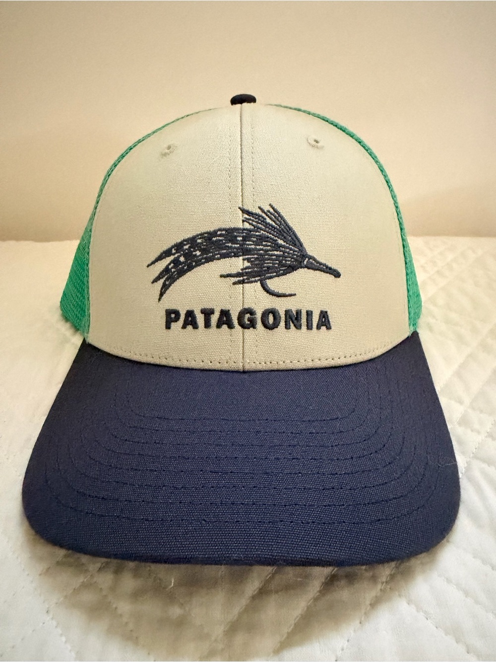 Hat with Patagonia logo